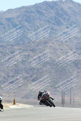 media/Apr-27-2025-BRL Bagger Racing League (Sun) [[7a5f00f0a5]]/5-Bagger GP-Pro Stock-Super Street Race/